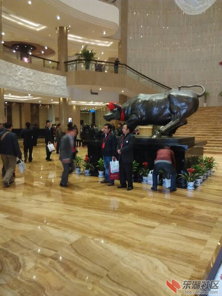 QQ图片20141108135527.jpg