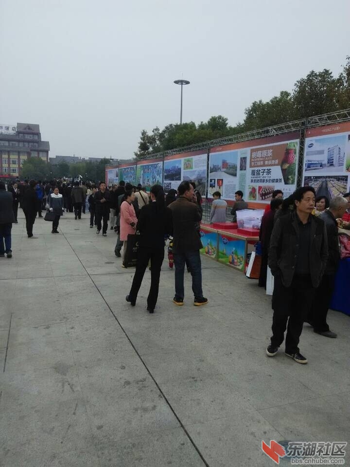 QQ图片20141108135648.jpg