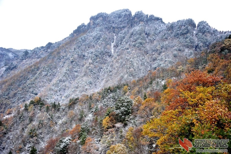 DHJ_1375_调整大小.jpg