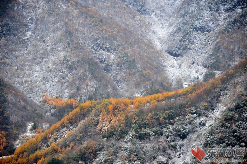DHJ_1286_调整大小.jpg