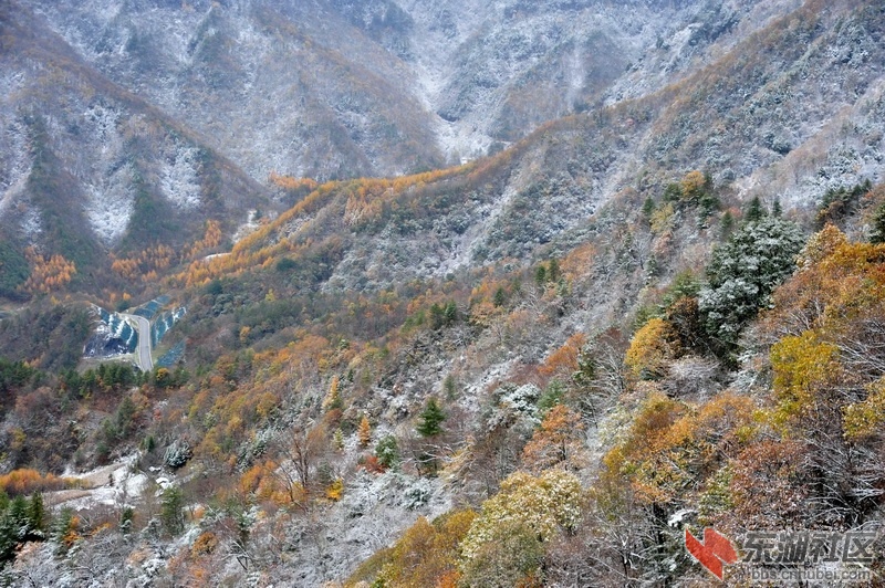 DHJ_1303_调整大小.jpg