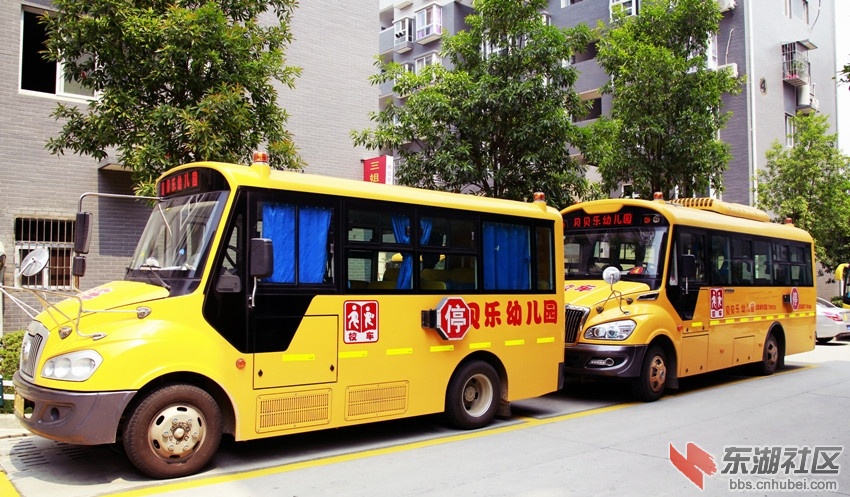 9195.jpg