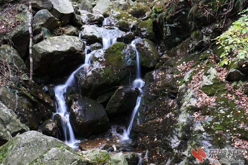 06.jpg