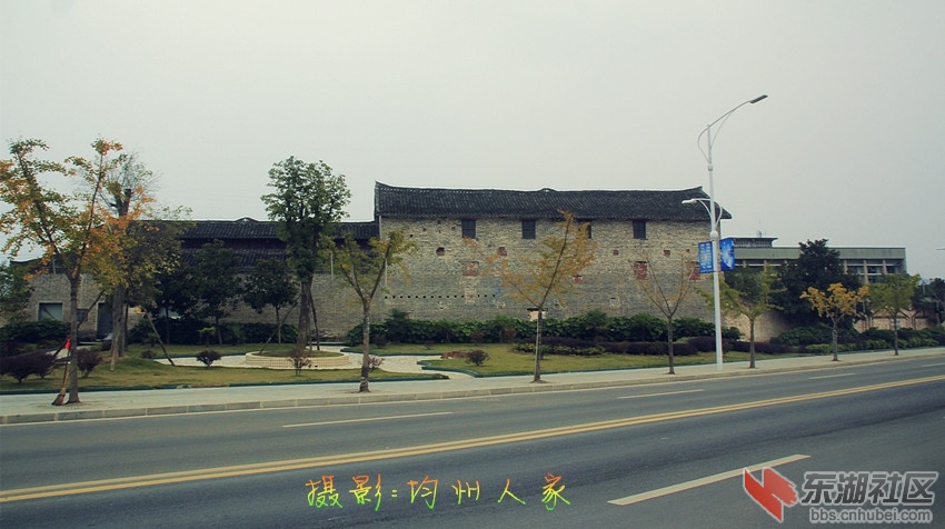 7061.jpg