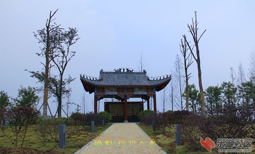 7055.jpg