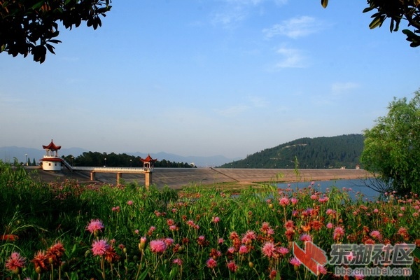005_调整大小.jpg