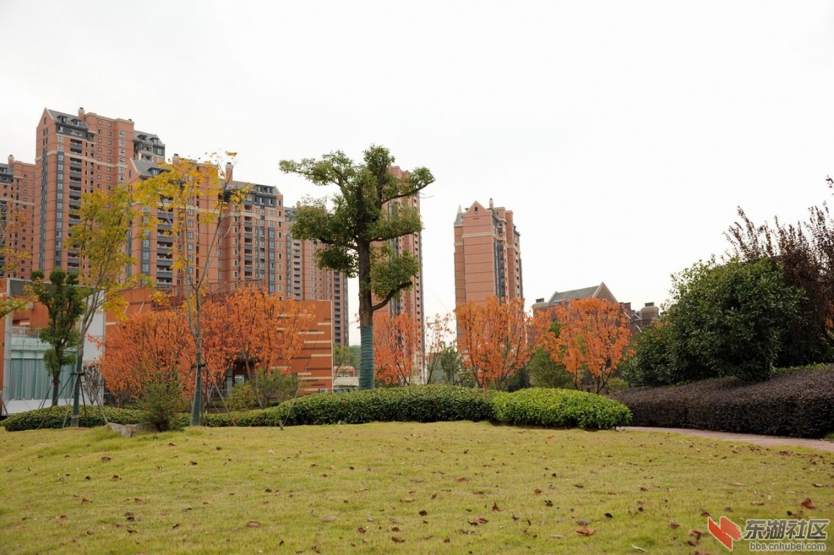 调整大小 重新曝光 DSC_2211.jpg