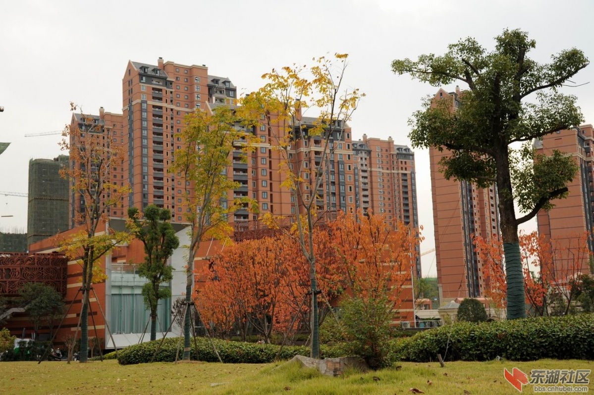 调整大小 重新曝光 DSC_2215.jpg