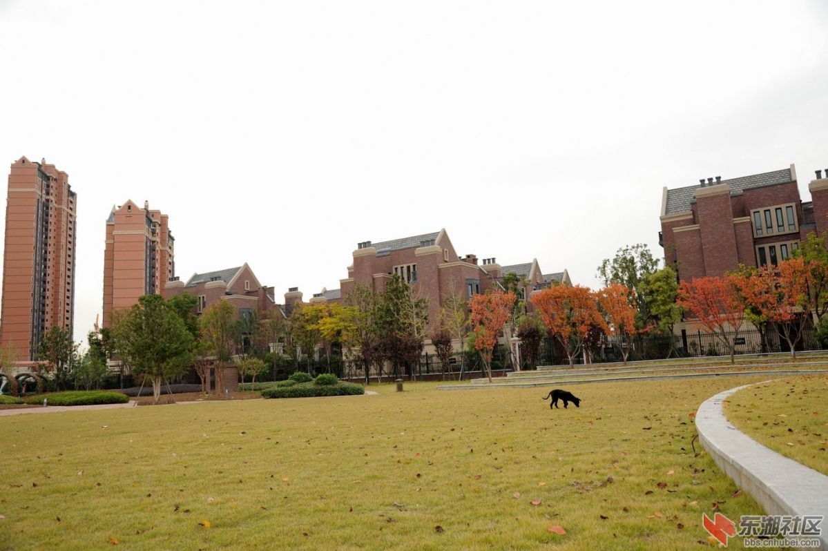 调整大小 重新曝光 DSC_2239.jpg