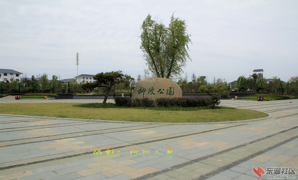 6948.jpg