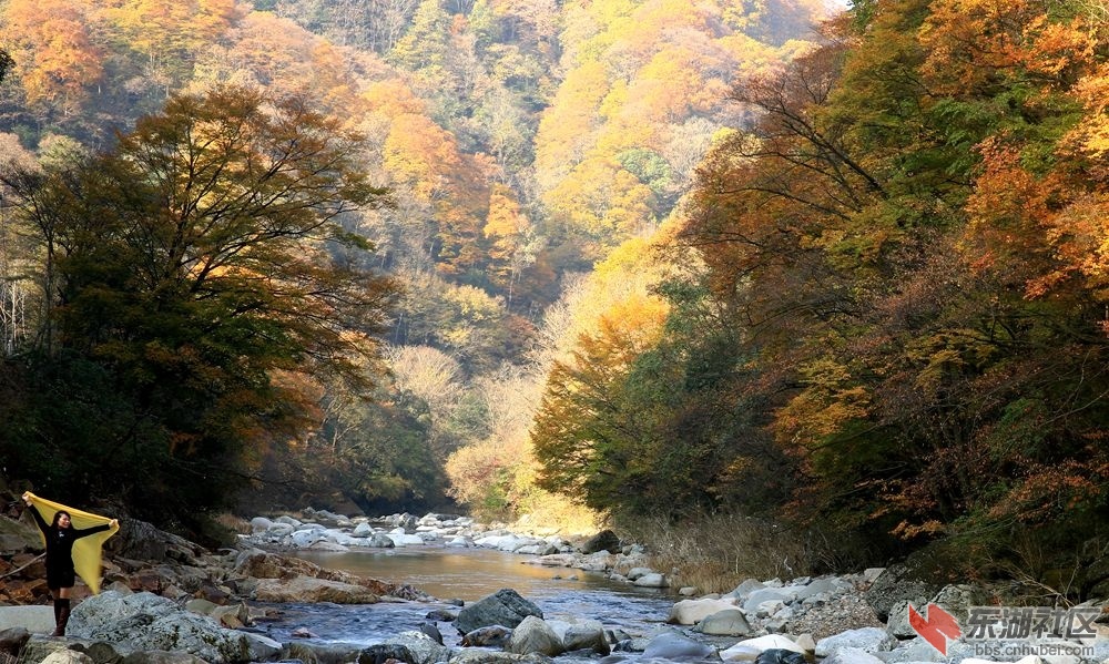 四川11.jpg