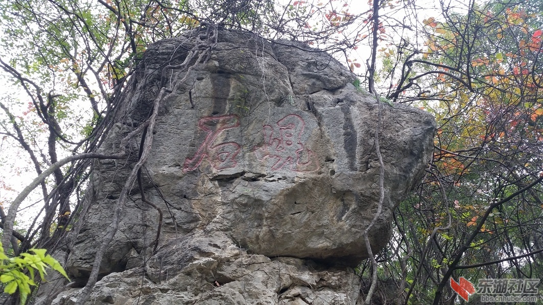 20141109_102311.jpg