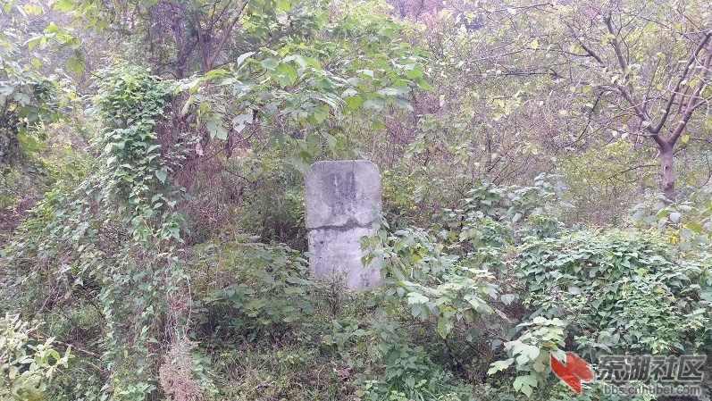 20141109_103441.jpg