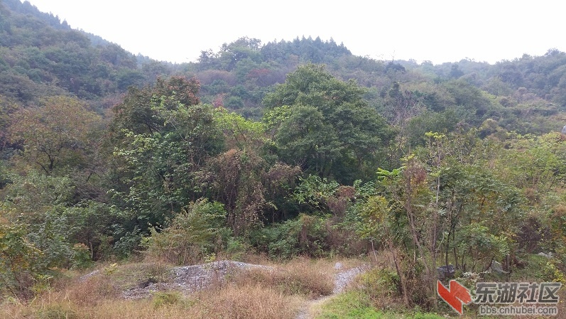 20141109_103655.jpg