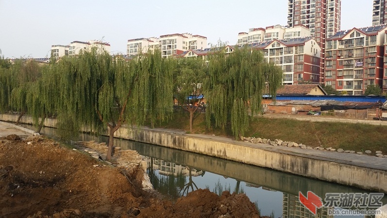20141112_081643.jpg