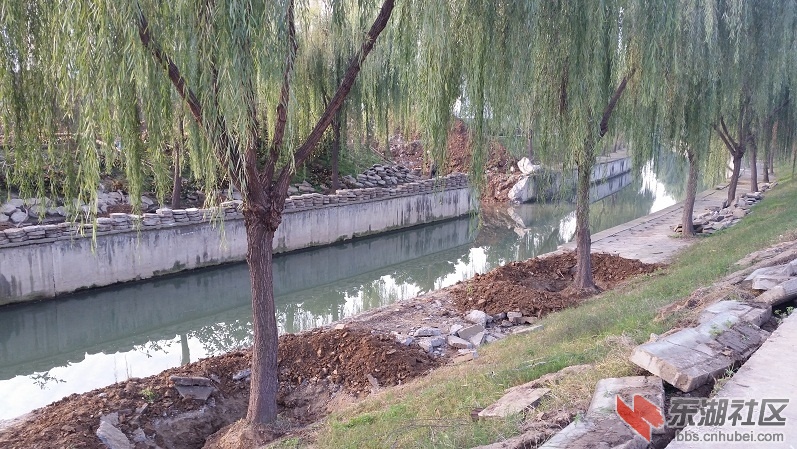 20141112_081814.jpg
