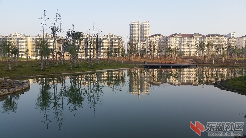 20141104_080125.jpg