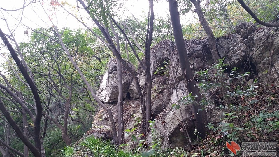 20141109_102322.jpg