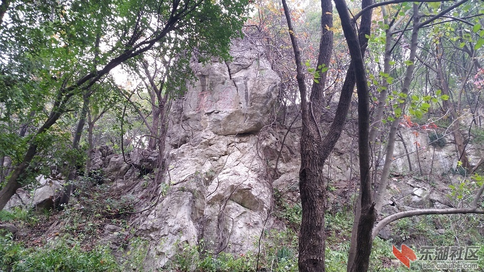 20141109_102714.jpg