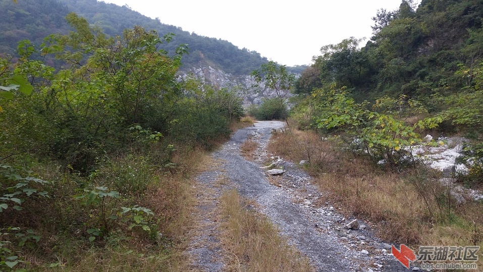 20141109_104755.jpg
