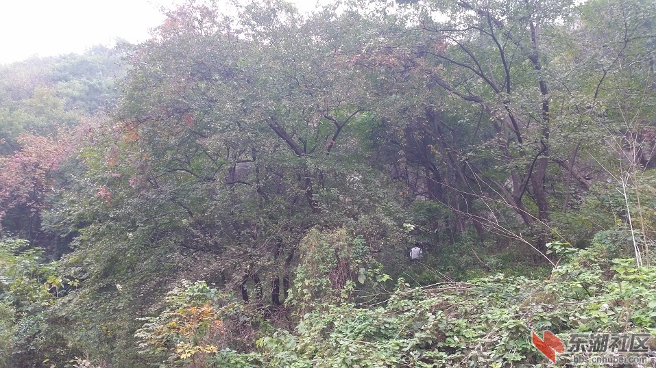 20141109_103312.jpg