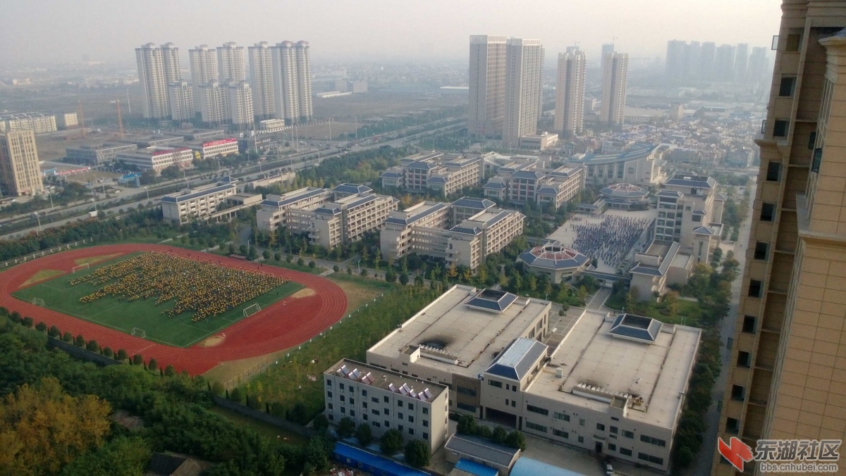 WP_20141111_001.jpg
