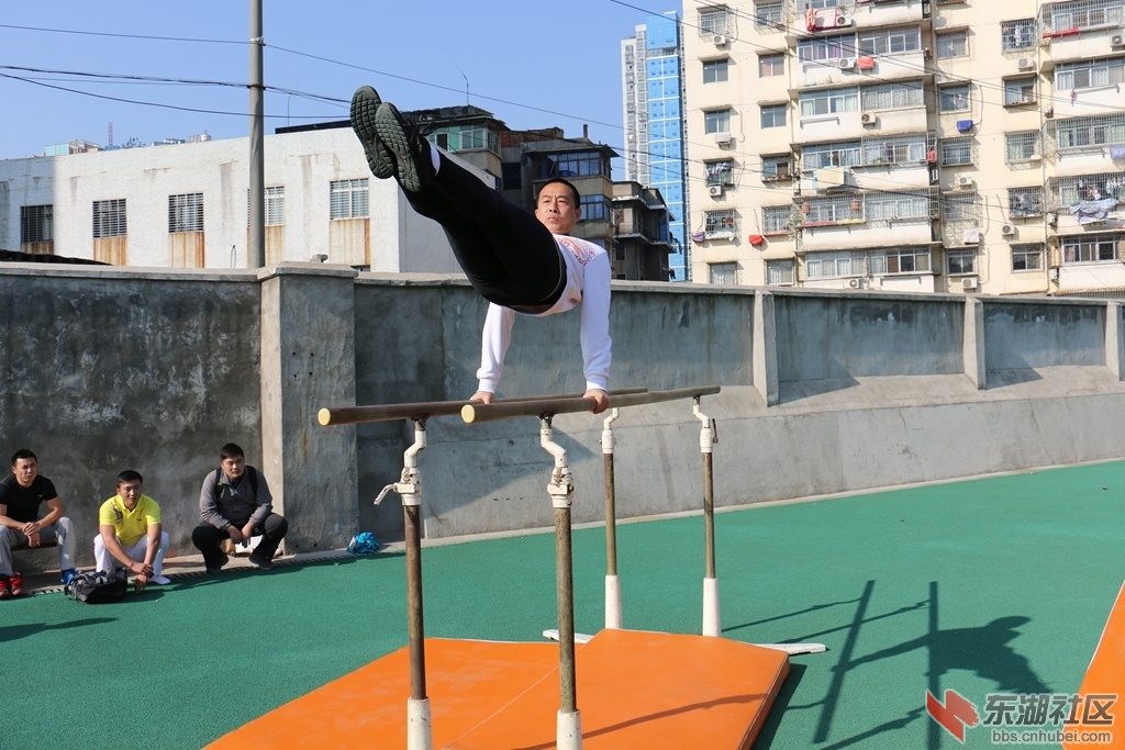 010.jpg