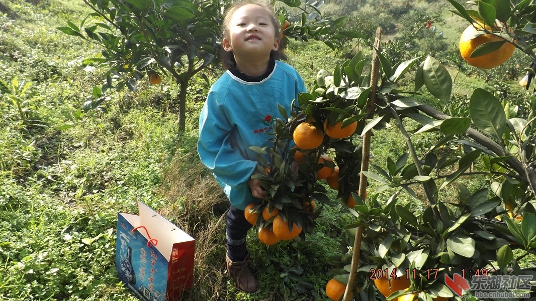 DSCF7278.JPG