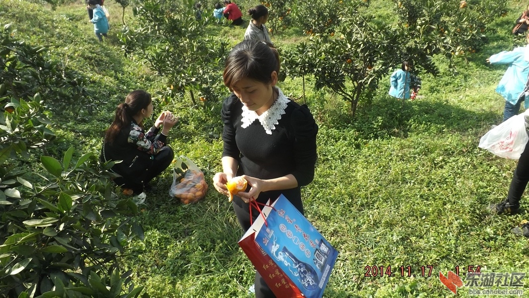 DSCF7280.JPG