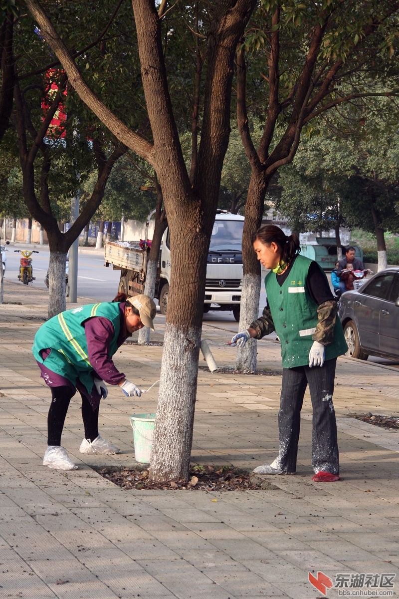 11.16 124_副本.jpg