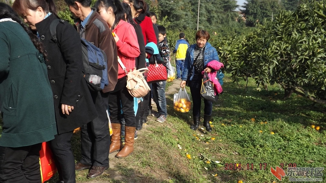 DSCF7296.JPG
