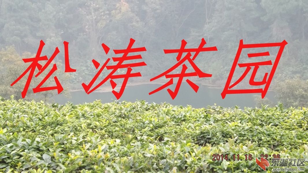 DSCF7197.JPG