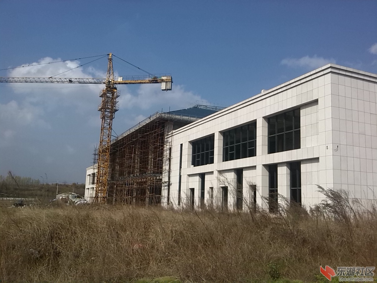 QQ图片20141116214421.jpg