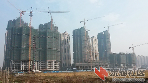 20141116_090445.jpg
