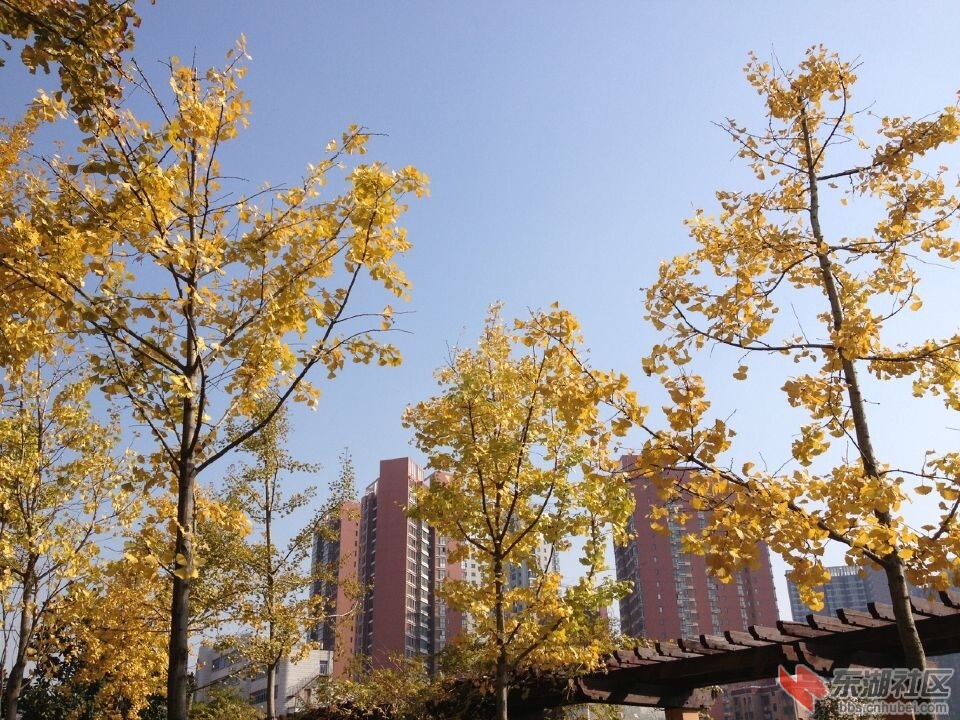 QQ图片20141117124248.jpg