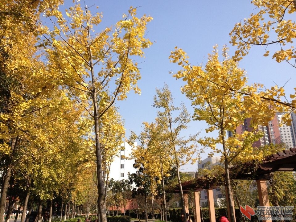 QQ图片20141117124301.jpg