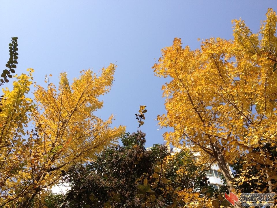 QQ图片20141117124259.jpg