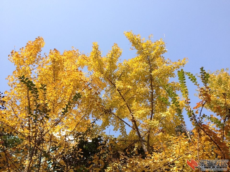 QQ图片20141117124318.jpg