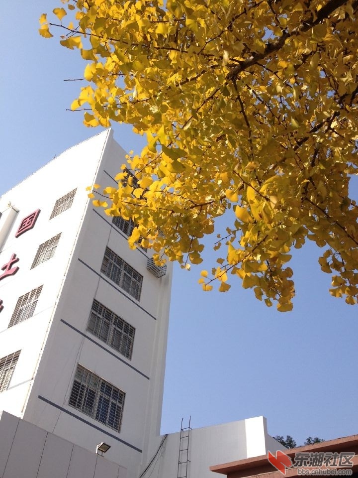 QQ图片20141117124245.jpg