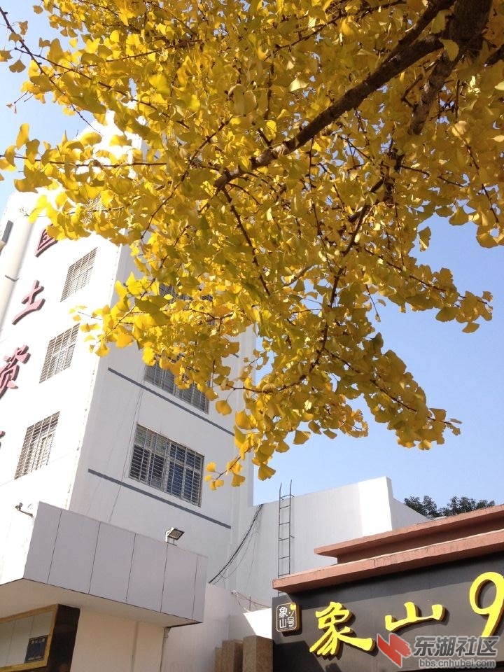QQ图片20141117124310.jpg