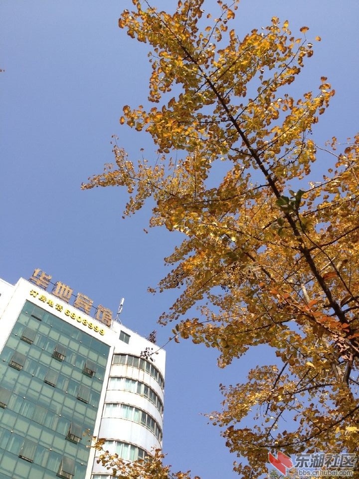 QQ图片20141117124253.jpg