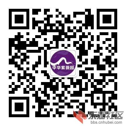 襄阳中华紫薇园