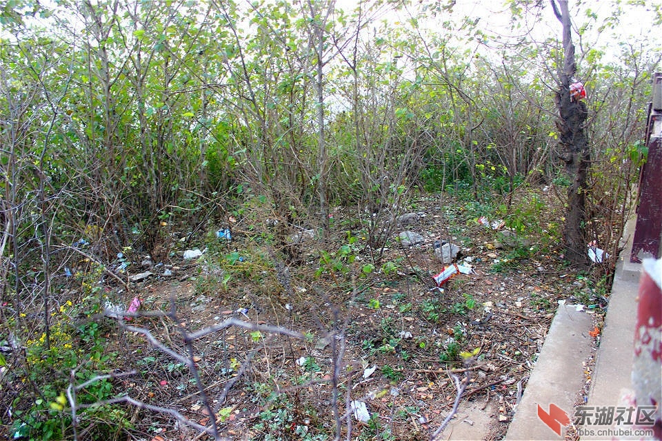 psb_meitu_8.jpg
