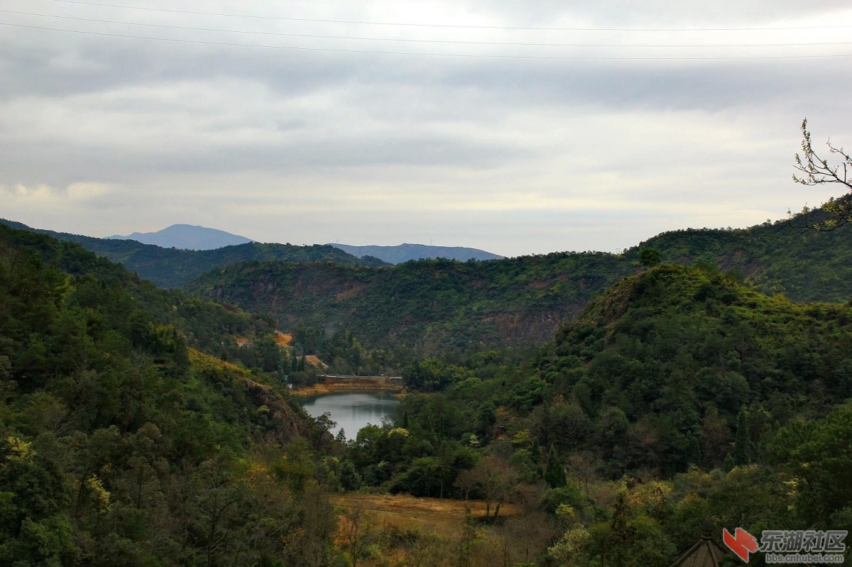 95.jpg