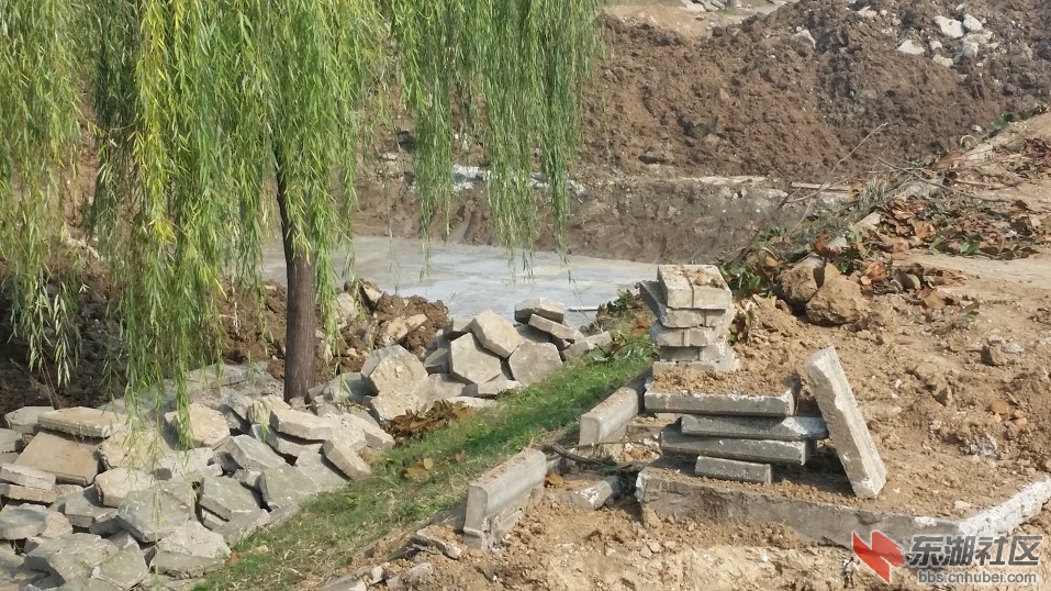 20141118_122315.jpg