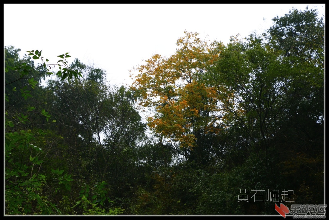 IMG_5299_副本.jpg