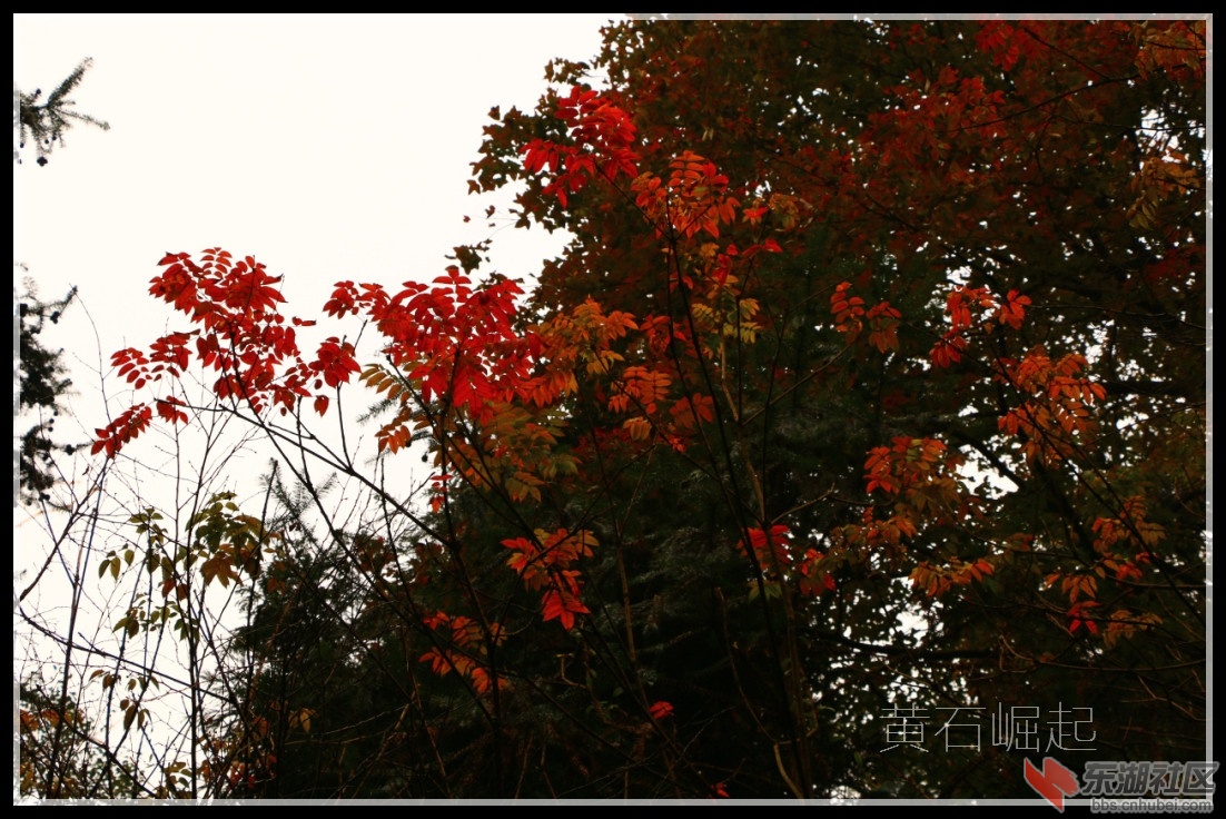 IMG_5325_副本.jpg