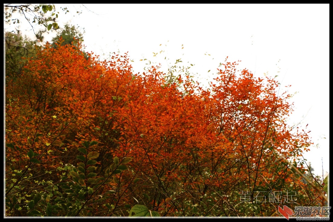 IMG_5368_副本.jpg