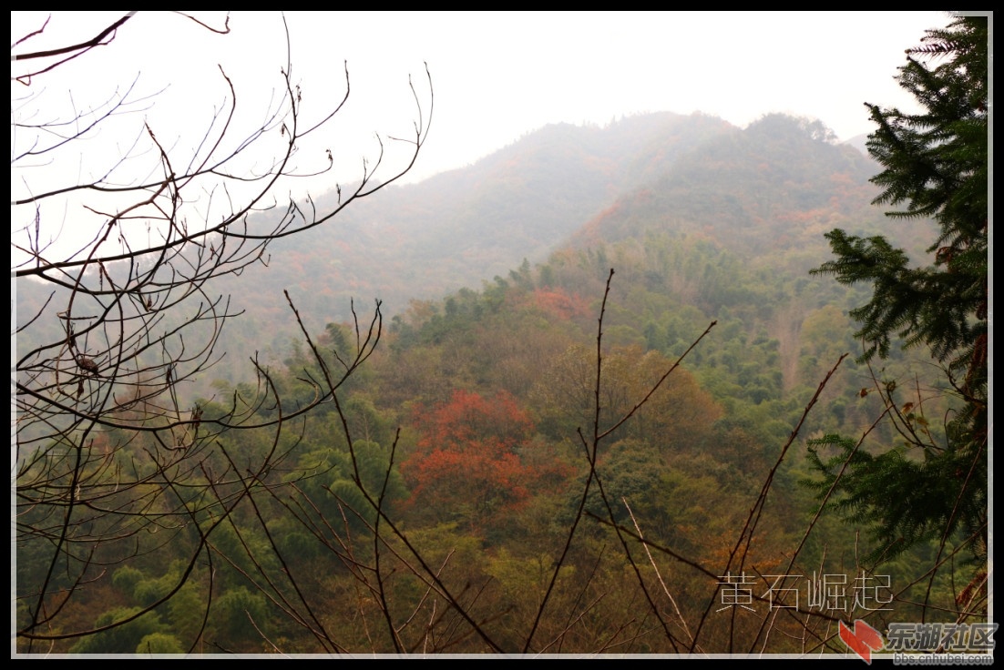 IMG_5405_副本.jpg