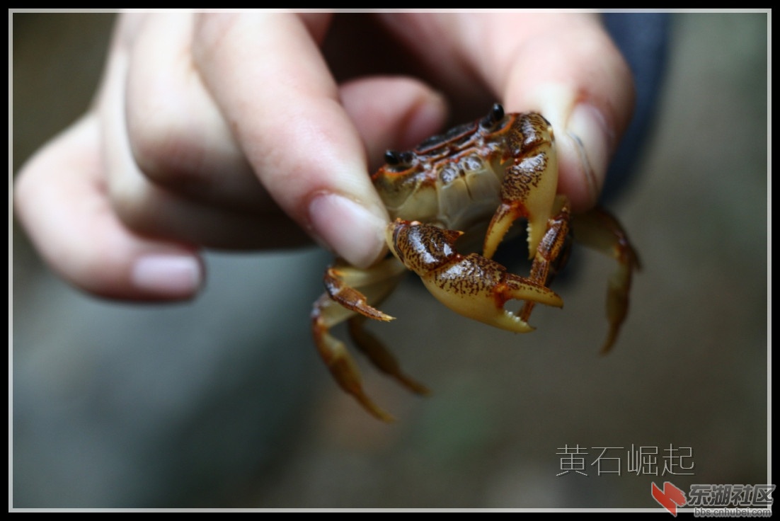 IMG_5423_副本.jpg
